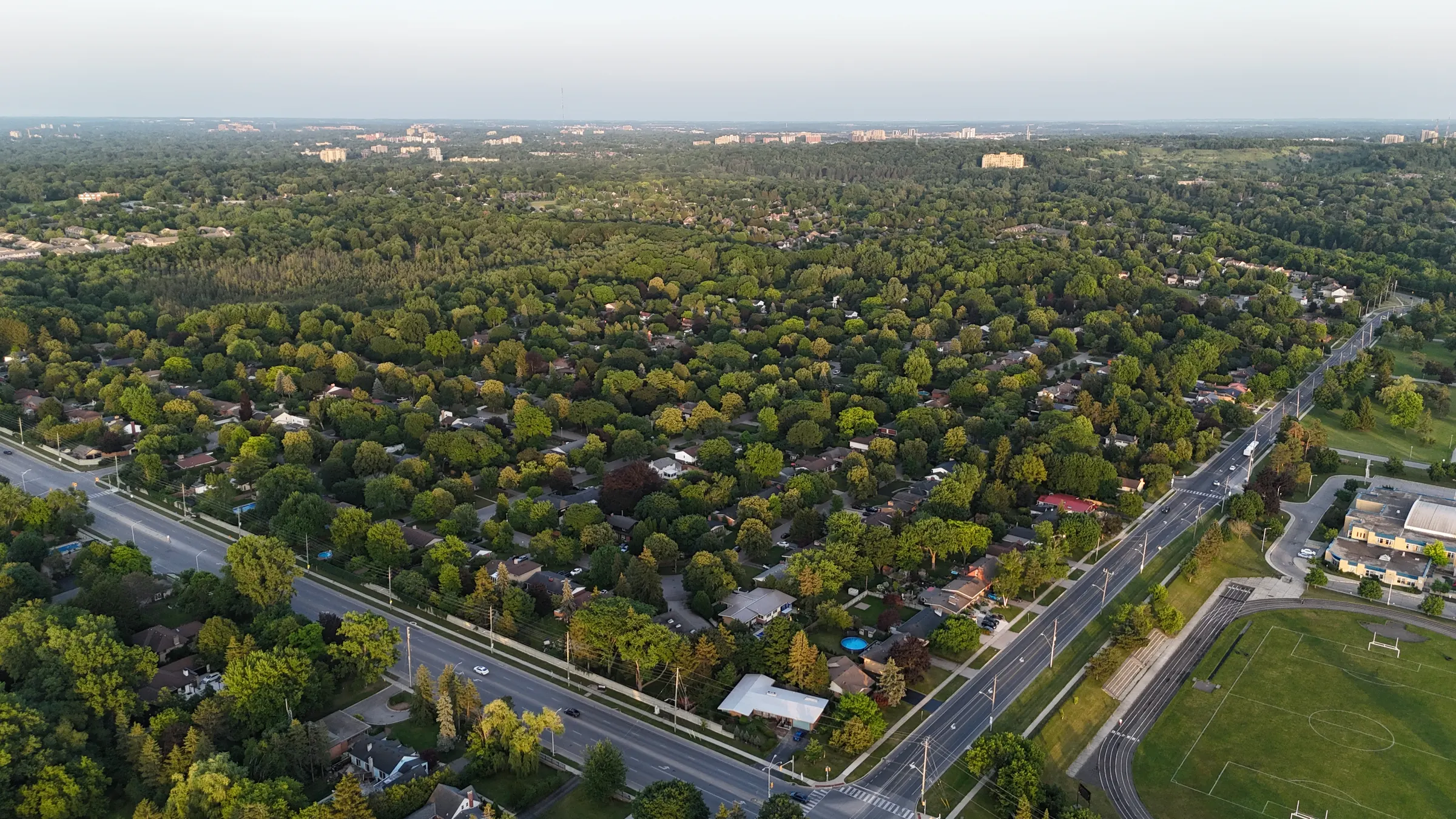 Aerial view of London, Ontario's tree canopy at golden hour